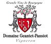 Geantet-Pansiot - Gevrey Chambertin En Champs / 2015 / 750mL
