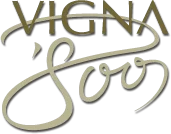 Vigna 800 Valpolicella Classico / Organic / 2020 / 750mL