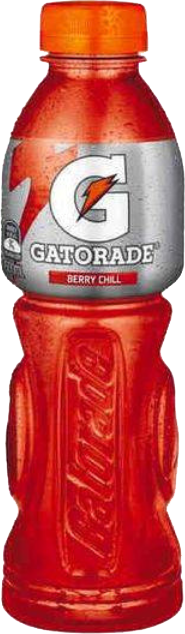 Gatorade - Berry Chill / 600mL