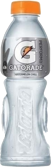 Gatorade - Watermelon Chill / 600mL