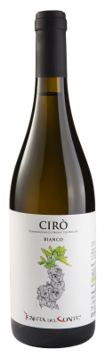 Tenuta del Conte - Ciro Bianco / 2021 / 750mL