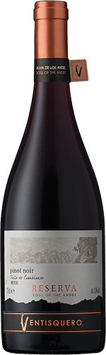 Vina Ventisquero - Reserva Pinot Noir / 2020 / 750mL