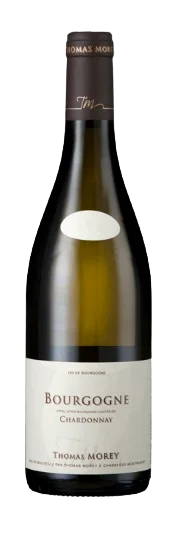 Domaine Thomas Morey Bourgogne Blanc / 2023 / 750mL