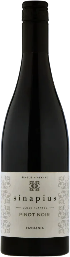 Sinapius Close Planted Pinot Noir / 2024 / 750mL