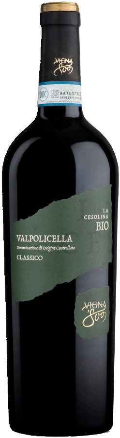 Vigna 800 - Valpolicella Classico / 2019 / 375mL